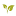'betterseed.org' icon