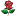 'blomsterhosbrian.dk' icon
