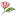 'bloomsbythebox.com' icon
