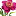 blossomtips.com icon