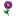 'bouquet.com' icon
