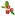 cranberrysquaremarket.com icon