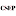 'csep.org' icon