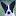 'dogschoolujin.com' icon