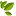 green-shop.ch icon