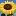 'kimskindness.org' icon