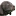 'latviangundogs.org' icon