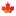 'loanscanada.ca' icon