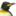 penguinsinternational.org icon