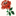 'rosebud-web.com' icon