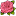 rosegardennj.com icon