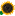 'solarypsi.org' icon