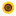 'sunflowerhill.org' icon
