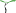 'treemail.hu' icon
