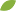 'treering.com' icon