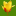 tulipsprings.com icon