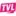 'tvland.com' icon