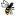 'wasps.co.uk' icon