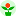 zelena-prolet.com icon