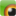 'zooplus.dk' icon
