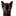 'zwartekat.nl' icon